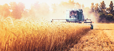 Unsere Agrarchemikalien finden Sie auch im offiziellen BÜFA Online-Shop.