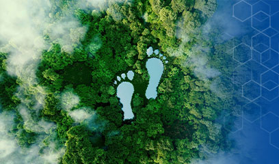 EcocertReady Komplexbildner für klare, zertifizierbare Rezepturen