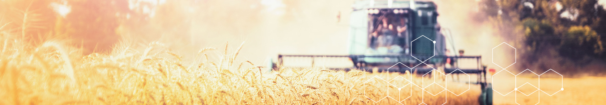 Effiziente Rohstoffe für die Agrarindustrie Hier finden Sie alle Chemikalien, die Sie in der Landwirtschaft benötigen – ganz gleich, ob für die Konservierung Ihres Getreides, die Flüssigfütterung oder die Ansäuerung des Tränkewassers.