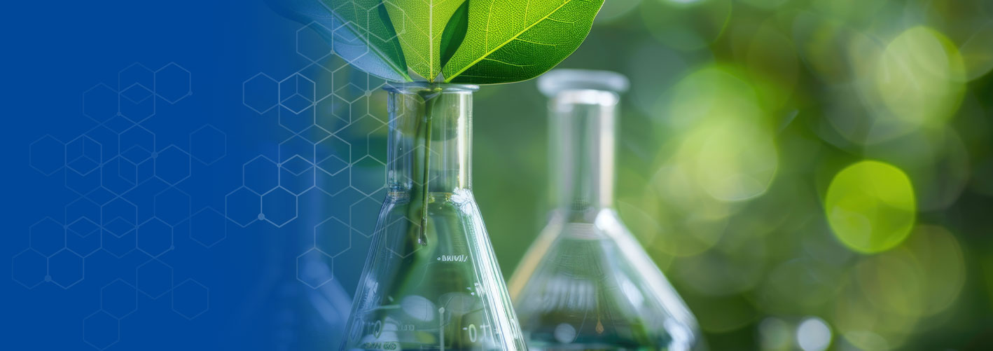 Rohstoffe für Ecocert Detergents zertifizierbare Produkte