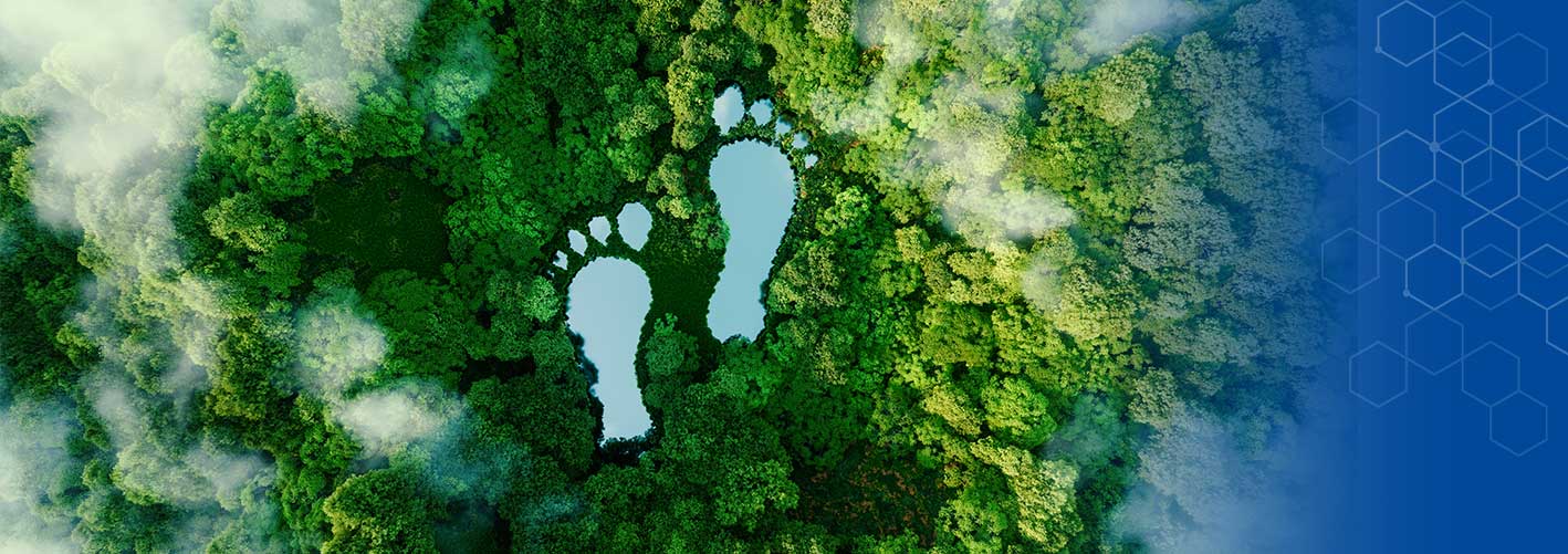 Validiert, unabhängig, verfügbar – der BÜFA PCF schafft echte Entscheidungsgrundlagen