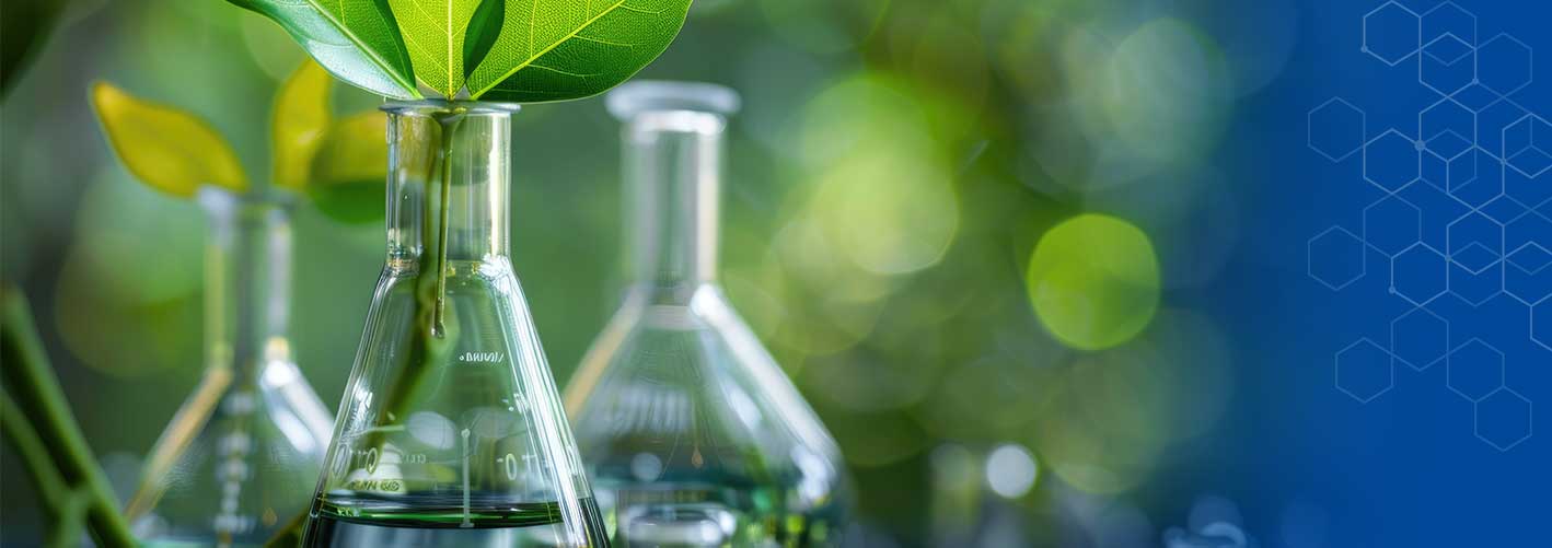 Rohstoffe für Ecocert Detergents zertifizierbare Produkte