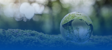 EcoVadis Gold Standard Weltkugel aus Glas vor Wald- und Mooshintergrund