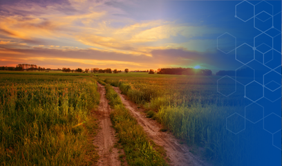 Sommerhitze, Keimdruck, Futterverderb: Diese 5 Lösungen helfen jetzt