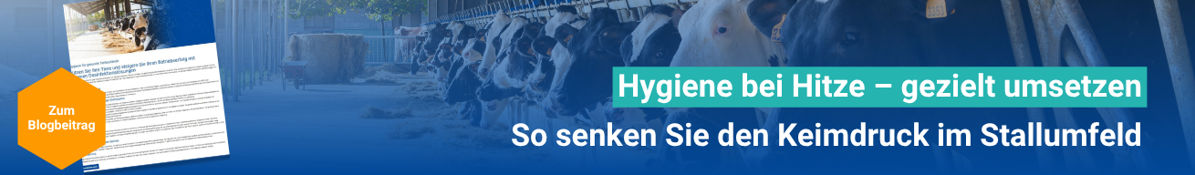 Zum Blogbeitrag.